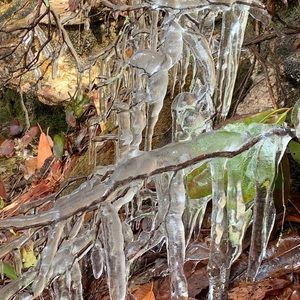 Meet your Posher, Jessee